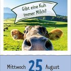 „Gibt eine Kuh immer Milch?“ steht über einer nahe fotografierten Kuh auf einer grünen Wiese. Datum: Mittwoch 25 August.