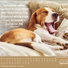 „Was machen Hunde eigentlich an ihrem freien Tag? ... das ist schließlich sowieso ihr Job.“ Ein gähnender Hund auf einem Sofa.