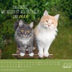 Text: "Das einzige, was besser ist als eine Katze, sind zwei!" Zwei Katzen sitzen nebeneinander auf einer Bank; darunter ein Kalender für September.