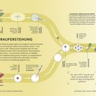 "Wiederauferstehung: Fortschritte in der Biotechnologie ermöglichen das Heranziehen identischer Kopien aus somatischen Zellen."