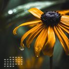 "September" steht in großen Buchstaben. Ein Kalender zeigt Daten. Eine gelbe Blume mit Wassertropfen ist sichtbar.