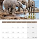 09 2027, darunter Wochentage und Kalendertage. Oben Elefantenfamilie am Wasser.