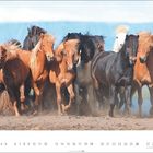 „9“ und Zahlen 1-30 in Reihenfolge. Gruppe galoppierender Pferde auf staubigem Boden, Hintergrund Himmel und Landschaft.