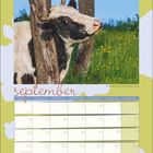 "September" steht in geschwungener Schrift. Ein Kalender mit Wochentagen. Bild: Kuh lehnt an Baum, grüne Wiese im Hintergrund.