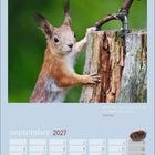 Zitat: „Die Freude und das Lächeln sind der Sommer des Lebens.“ - Jean Paul. Kalenderblatt September 2027 mit Eichhörnchen.