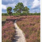 Zitat: "Es gibt nur einen Ausweg, wenn man einmal in ein Labyrinth geraten ist, das ist der Wille." Fanny Lewald. Kalenderbild.