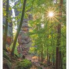 Kalender: September 2027. Sonnenstrahlen durchbrechen einen Wald mit moosbewachsenen Felsen.
