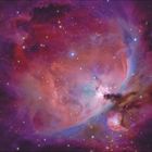 Kalender mit Text: "Juli, 27. Woche". Zitat über Evolution und Intelligenz. Hintergrund: farbiger Sternenhimmel.