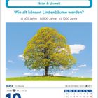 Natur & Umwelt: Wie alt können Lindenbäume werden? a) 600 Jahre b) 800 Jahre c) 1000 Jahre. März, 19, Freitag. Bild: Baum.