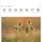 „In den kleinsten Dingen zeigt die Natur die allergrößten Wunder.“ – Carl von Linné. Kalenderseite vom 12. bis 18. Juli.