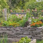 Kalender zeigt Juli und August. Text: "Ein Platz für Katzen". Eine Katze sitzt auf einem Naturstein-Hochbeet in einem blühenden Garten.