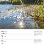 Juli 28. Woche. Krebs ♋ 21.6.–22.7. Seerosen in sonnigem See im Wald. Goethe-Zitat über Freude an der Sonne.