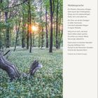 "Waldessprache" Gedicht von Friedrich de la Motte Fouqué. Kalender für März/April. Wald mit Sonnenlicht und Blumen.