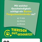 Text im Zentrum: „Mit welcher Geschwindigkeit schlägt ein Bunter Fangschreckenkrebs zu?" Logo unten: „TIERISCH GUT GESCHÄTZT”. Datum: „20, Mittwoch, Januar”.