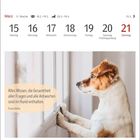 März, 11. Woche, 15-21. März. Zitat von Franz Kafka: "Alles Wissen... sind im Hund enthalten." Hund schaut aus dem Fenster.