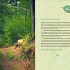 Übung: Anleitung zur Entspannung in der Natur. Pfad mit Bank im grünen Wald; Erde mit Laub bedeckt.