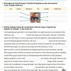 1. Lid, Braue, Wimpern, Iris, Pupille, Lederhaut. 

2. Welche Aufgaben haben die verschiedenen Teile des Auges.