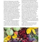 Seite 152, "Rezepte im Jahreslauf", "Einleitung zu den Monaten". Text über Selbstversorgung und kreative Rezepte. Darunter Obst- und Blumenarrangement.