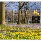 Texte links beschreiben blühende Krokusse und Café-Frühlingserwachen. Rechts bunte Krokusse, Bäume, goldenes Reiterstandbild.