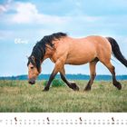 Text: "Oktober", "Elvis". Ein braunes Pferd läuft auf einer Wiese mit blauem Himmel. Ein Kalender für Oktober ist sichtbar.