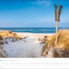 September 2027, Sylt. Dünenweg zum Strand, blaues Meer, Himmel, Grasbüschel im Vordergrund.