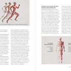 Aufbau und Struktur des Bewegungsapparates. Der passive Bewegungsapparat und der aktive Bewegungsapparat.