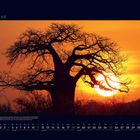 07 Juli. Der Ruaha National Park in Tansania: Safari mit Tieren, Baobab-Bäume im Sonnenuntergang.