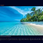 08 August, Kalender mit Sandstrand, Palmen und klarem, türkisfarbenem Meerwasser.