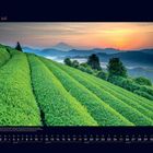 07 Juli. Kalender mit grünen Teefeldern in Japan; im Hintergrund ein Sonnenuntergang und Berge, darunter der Mount Fuji.