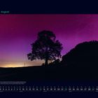 08 August, Kalender. Dunkler Schatten eines Baumes vor einem violetten Himmel voller Sterne.