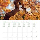 Ein Kalender für Oktober mit Tagen in mehreren Sprachen. Oben ein herbstliches Baumgemälde mit goldenen Blättern.