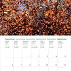 Kalenderseite für September mit Texten in mehreren Sprachen. Oben fliegen zahlreiche orangefarbene Schmetterlinge.