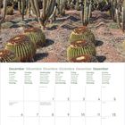 Kalender für Dezember mit einigen Feiertagen. Oben Kakteengarten mit Palmen und blauem Himmel.