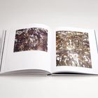 Ein aufgeschlagenes Buch zeigt zwei abstrakte Gemälde in erdigen Tönen und strukturierten Mustern auf weißen Seiten.