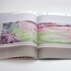 Eine geöffnete Zeitschrift zeigt eine farbige Illustration von Körpern in Grün- und Rottönen auf weißem Hintergrund.