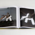 Zwei farbige Skulpturen im Freien, mit orange-weißen Mustern. Oben: Seitenzahlen und Künstlernamen, darunter Materialien.