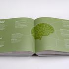 "Das Gehirn und die Emotionen", "The Brain and Emotions". Grüne Seite mit stilisiertem Gehirnprofil, deutsche und englische Texte.