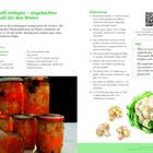 Blumenkohl einlegen – eingekochter Blumenkohl für den Winter. Sechs Gläser auf einem Tisch, sonnendurchflutet.