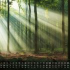 Kalender mit Datumsangaben und Wochentagen. Sonnenstrahlen durchdringen einen dichten, grünen Wald.