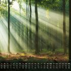 Kalender mit Septemberwochen. Sonnenstrahlen fallen durch dichte Bäume in einem grünen Wald.