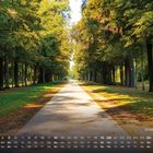 Kalender mit Daten und Wochentagen. "Großer Garten 9". Allee mit herbstlichen Bäumen, langer gerader Weg in der Mitte.