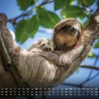 Kalenderdarstellung für September, Faultier mit Baby in Baum, strahlender Himmel und grünes Blätterdach im Hintergrund.