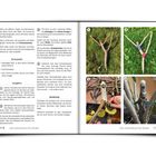 Zwei Buchseiten: Links Anleitungen zum Schnitzen, rechts vier Bilder von geschnitzten Ästen mit Nummern 1 bis 4.