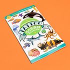 „Watery World of Ocean Animals: Temporary Tattoos That Teach“. Illustrationen von Ozeantieren wie Orca, Seepferdchen, und Oktopus.