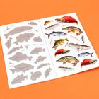 Links stehen Namen wie "Rainbow trout", rechts bunte Fisch-Illustrationen.