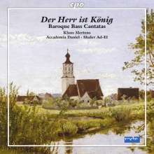 Barocke Bass-Kantaten aus Mitteldeutschland (Mügeln-Archiv), CD