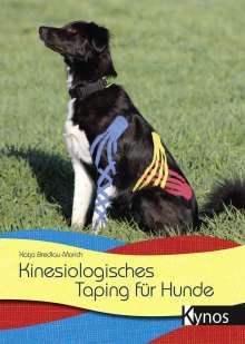 Katja Bredlau-Morich: Kinesiologisches Taping für Hunde, Buch