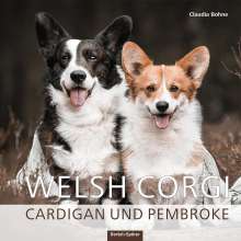 Claudia Bohne: Welsh Corgi, Buch