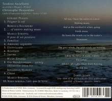Musik für Viola &amp; Akkordeon - Of Waters making Moan, CD