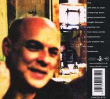 Brian Eno (geb. 1948): Another Day On Earth, CD